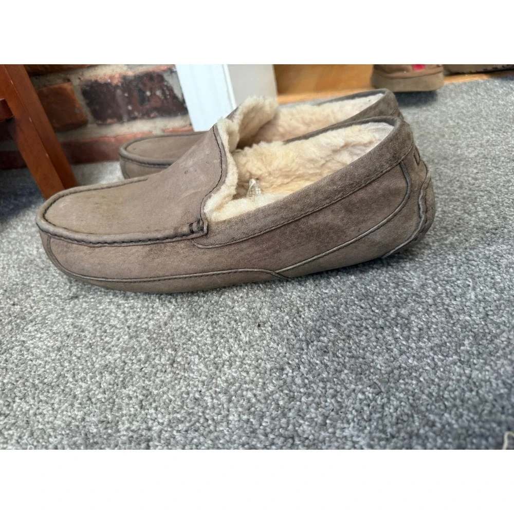 UGG mens ascot